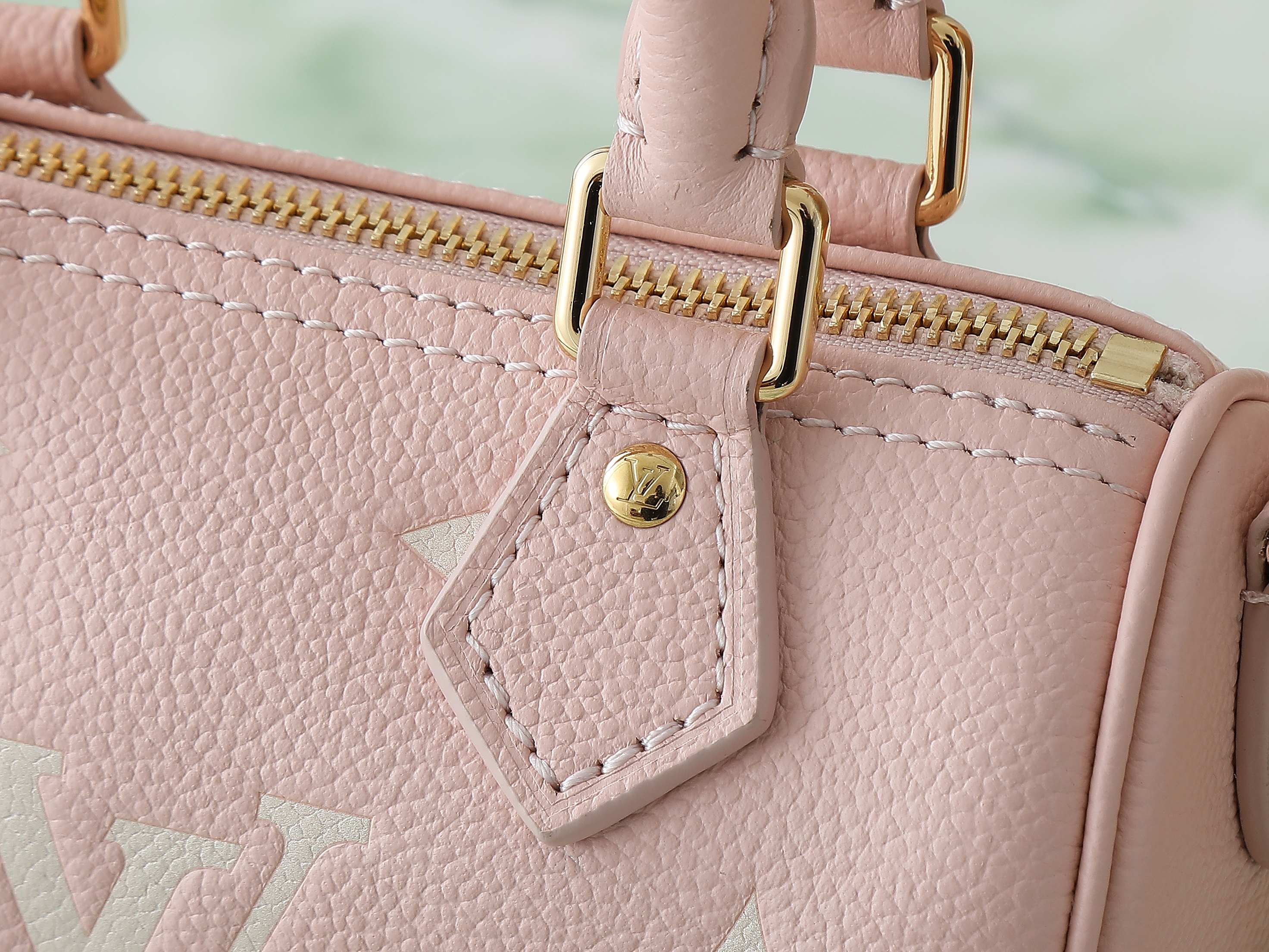 Жіноча сумка Louis Vuitton Speedy