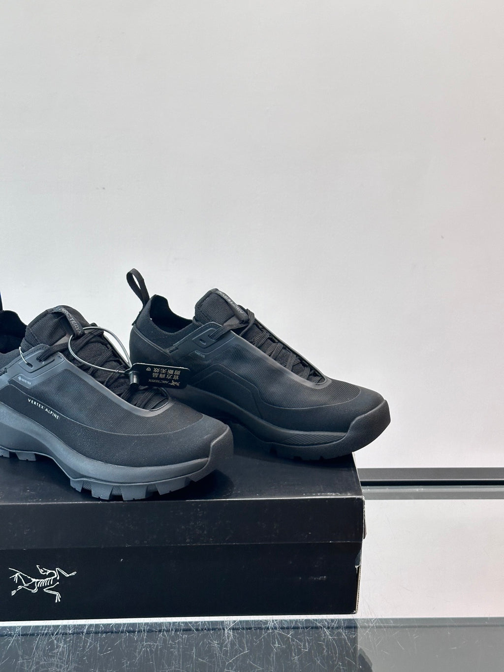 Текстильні кросівки Arc'teryx Vertex Alpine GTX