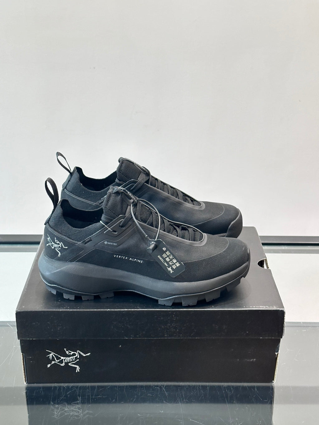 Текстильні кросівки Arc'teryx Vertex Alpine GTX