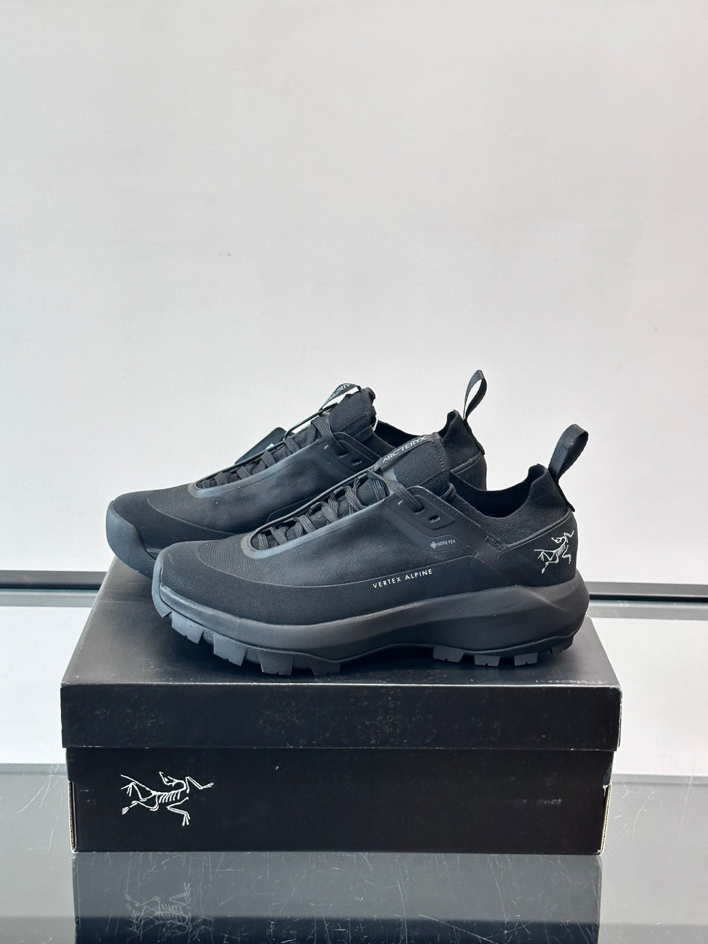 Текстильні кросівки Arc'teryx Vertex Alpine GTX