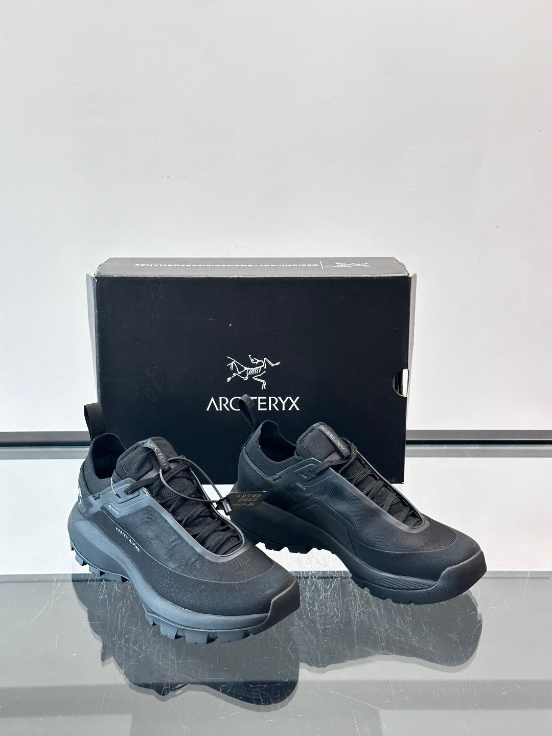 Текстильні кросівки Arc'teryx Vertex Alpine GTX