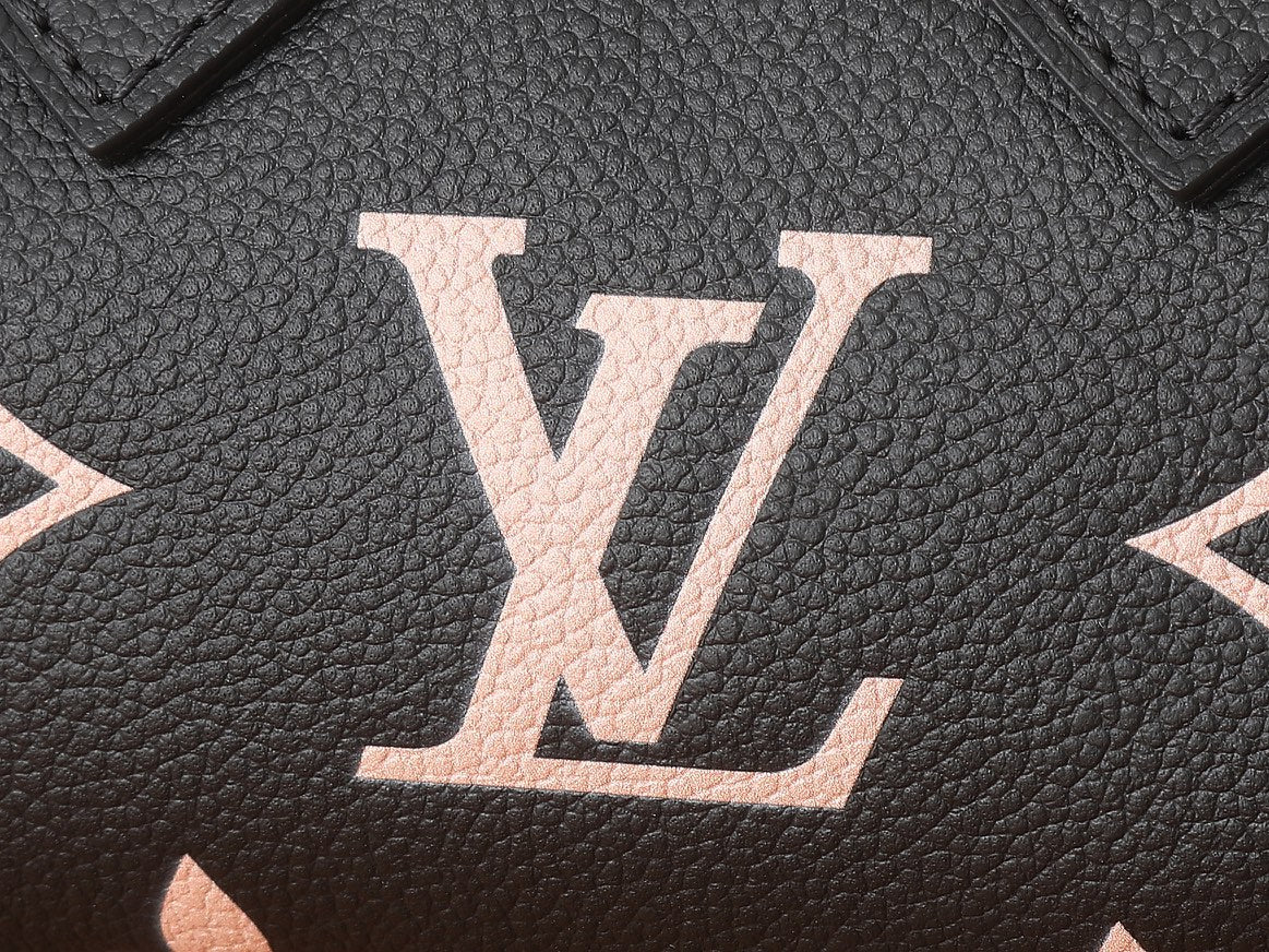 Жіноча сумка Louis Vuitton Speedy