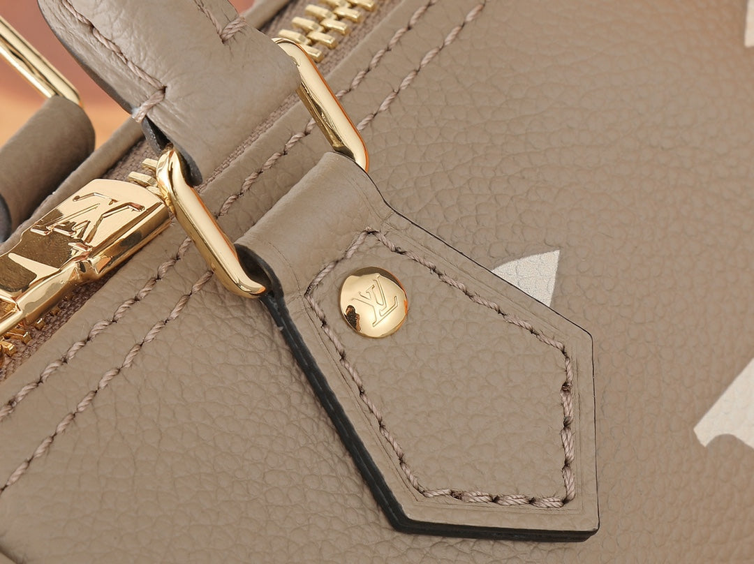 Жіноча сумка Louis Vuitton Speedy