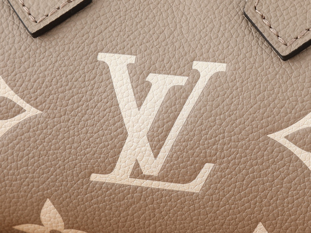 Жіноча сумка Louis Vuitton Speedy