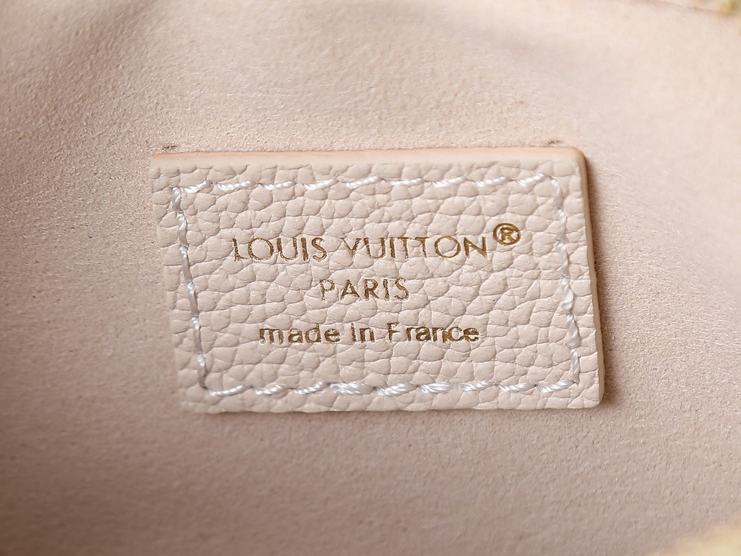 Жіноча сумка Louis Vuitton Camera Bag