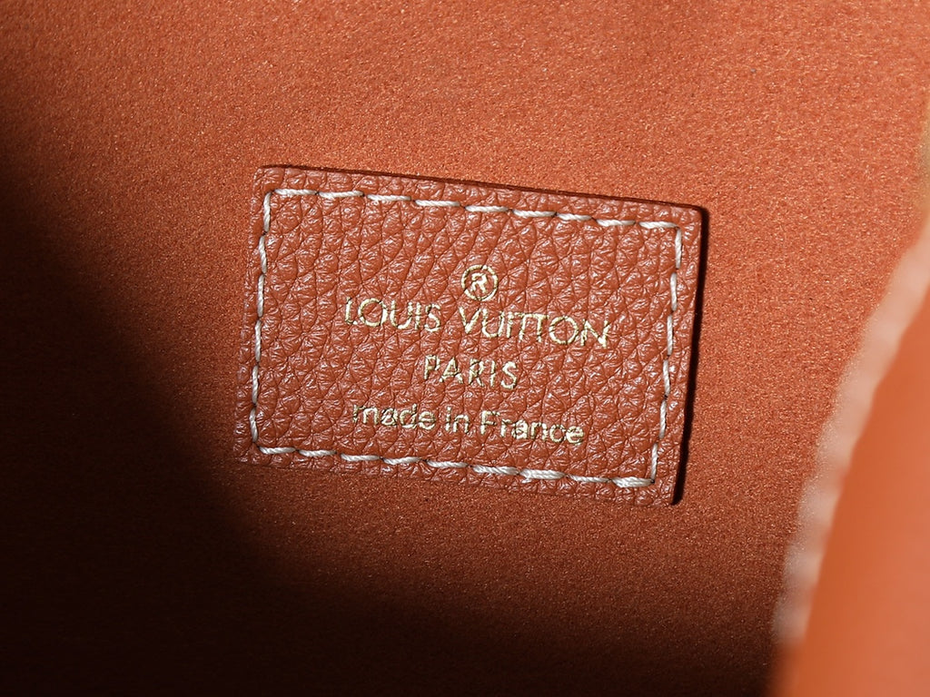 Жіноча сумка-відро Louis Vuitton Montresor