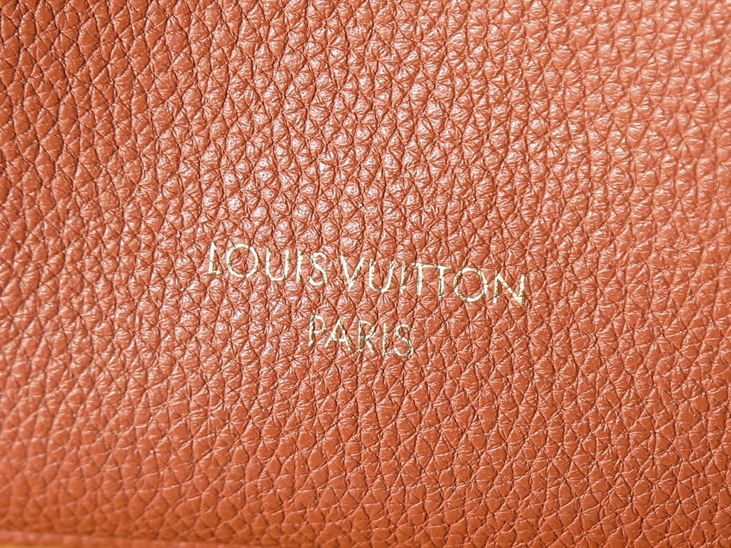 Жіноча сумка-відро Louis Vuitton Montresor