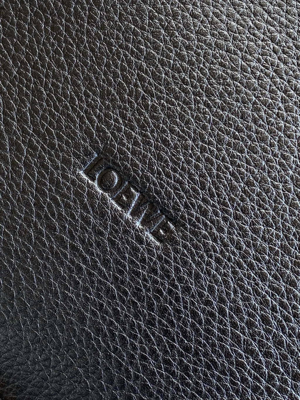 Жіноча сумка hobo Loewe Hobo Loop Hobo 9159